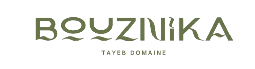 tayebdomaine.com
